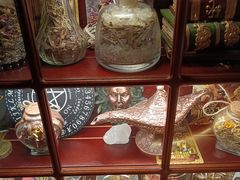 -雪灵魔法世界SHELLY’S TAROT(大良桂畔里店)