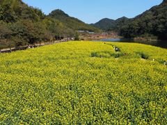 -广州市石门国家森林公园