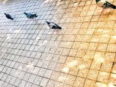 景观位-无招牌海鲜餐厅(滨海艺术中心店)