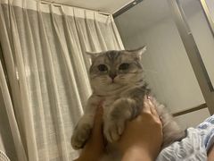 -爱诺耐芙动物医院(万博店)