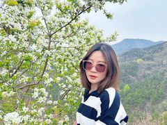 -木兰云雾山