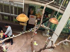 -正佳雨林生态植物园
