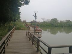 -大湾区中央湿地公园