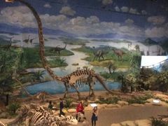 -自贡恐龙博物馆