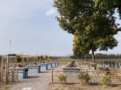 -明珠湖天鹅苑·农家菜馆