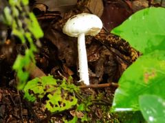 -终南山南五台景区