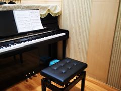 -知音艺术教育培训·钢琴培训·音乐培训(河西金鹰世界校区)