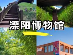 -紫藤园·天目湖大鱼头(南山竹海店)