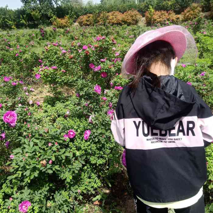 明馨玫瑰园-"很一般,没什么特色,还好里马嵬驿比较近,.