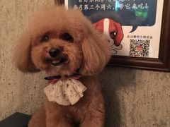 百好乐比萨-百好乐宠物友好餐厅(朝外大街店)