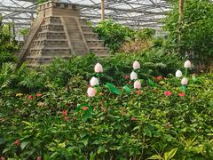 -南宫五洲植物乐园