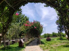 -武汉紫薇都市田园