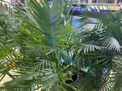 -瑞鑫创美·高定轻医美