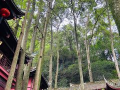 -青城山