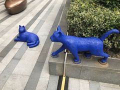 -中海环宇荟