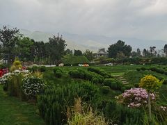 -云禾壹海景庄园餐厅