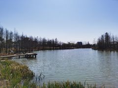 -上海长兴岛郊野公园