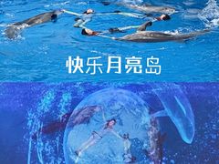 -海合安天津极地海洋公园