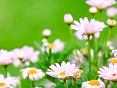 -天津金海湖