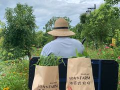 -军山湖云水间生态农业旅游景区