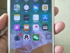 -Apple Store苹果手机电脑售后维修中心(浦东店)