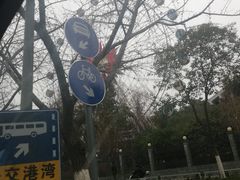 -赭山公园