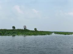 -白洋淀风景区