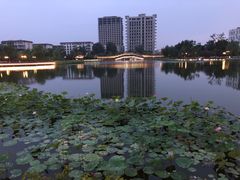-西海子公园