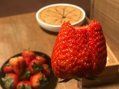 -柴务处·柴犬主题狗咖