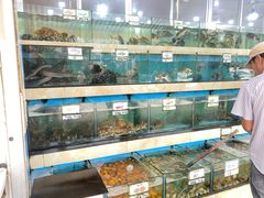 -秋姐美食店(旅游大道店)