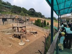 -大连森林动物园