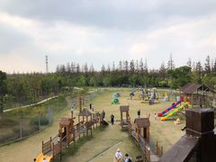 -上海长兴岛郊野公园