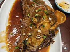 -丽苑大酒店