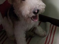 -宠颐生中康贝怡动物医院