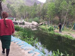 -白水寺森林公园