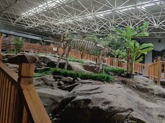 -中国第四纪冰川遗迹陈列馆