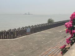 -上海滨江森林公园