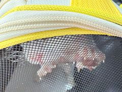 -贝康宠物医院·犬猫全科·小动物特色诊疗中心(东环路店)