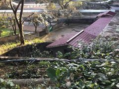 -三水森林公园