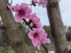 -花溪公园