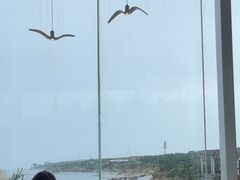 -海岛日记(养马岛店)