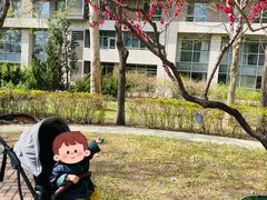 -YoKID托育园(酒仙桥园)