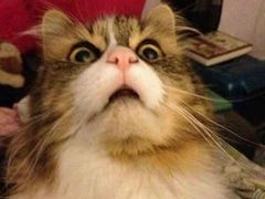 -网酷电竞馆(上地店)