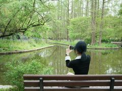 -共青国家森林公园-售票处