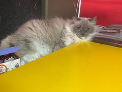 -零纪元VR体验馆·桌游(黄浦店)