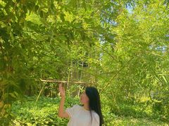 -红河谷晴天别墅轰趴馆