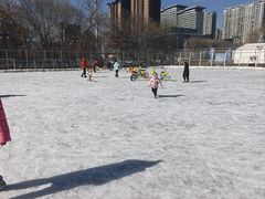 -沈阳奥体冰雪嘉年华