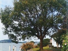 -东钱湖旅游度假区