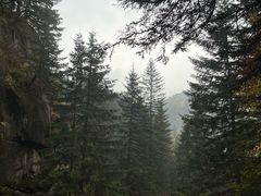 -芦芽山旅游度假区