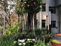 -人民公园(罗湖区)